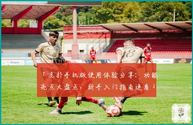 「虎扑手机版使用体验分享：功能亮点大盘点，新手入门指南速看」