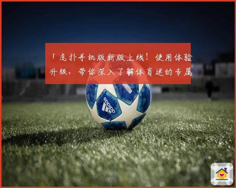 「虎扑手机版新版上线！使用体验升级，带你深入了解体育迷的专属互动天地」